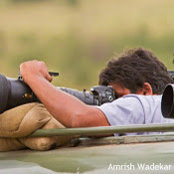 Aditya Singhs foto