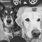 Stacey Spurling's photo