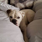 Dotty Dixon's photo