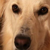 Gregor Sajusch's photo