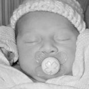 Lisa Shuman's photo