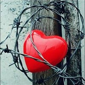Foto von Amor Al Harthy