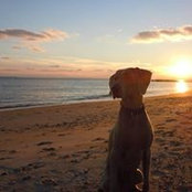 Susie Parodi's photo