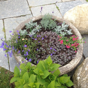 Seasonal Container Plantings & Changeovers