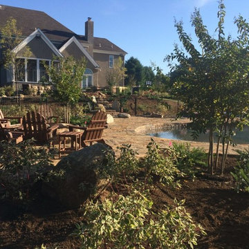 Natural Free Form Pool