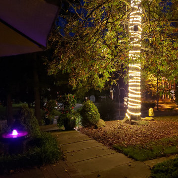 Low Voltage (LV) Lighting