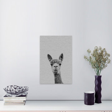 "Llama Face III" Painting Print on Wrapped Canvas