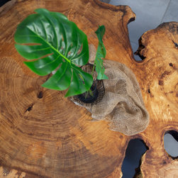 Huge Black Poplar slice coffee table - Living Room Furniture