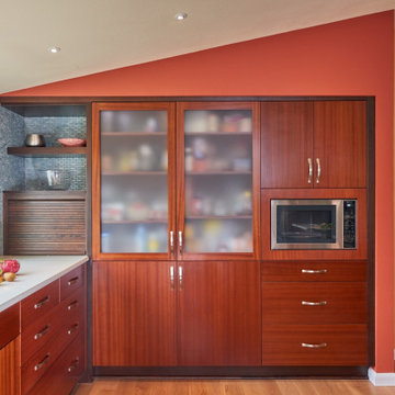 Primary Contemporary Kitchen Renovation