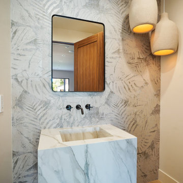 Valley Glen Whole-Home Remodel with Resort Pool & Pool House