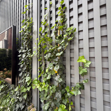 Arbors, Fences, and Trellises
