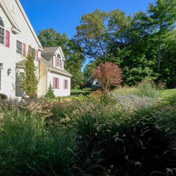 Westford Street Garden