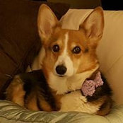 Lisa Marie Durkot's photo