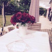Chantal Allory's photo