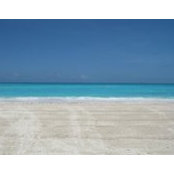 Susan Pottinger Fink's photo
