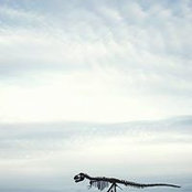 Renato Piereck's photo