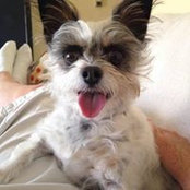 Pam Gebora's photo