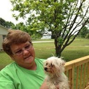 Cathy Hall's photo