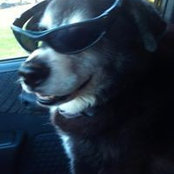 Brian Nefsky's photo