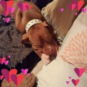 Franchesca Gonzalez's photo