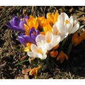 Inge Weber's photo