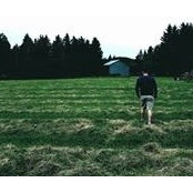 Simon Fortin's photo