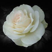 Carmen Jimenez's photo