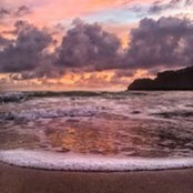 Ligiane Meyer's photo