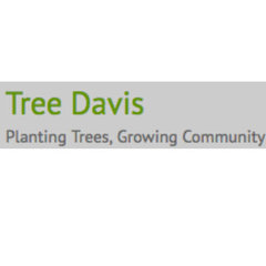 Tree Davis