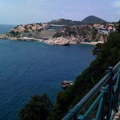 Sonja Gajic's photo