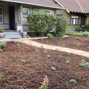 Bird & Butterfly Garden: Monrovia front/back yard