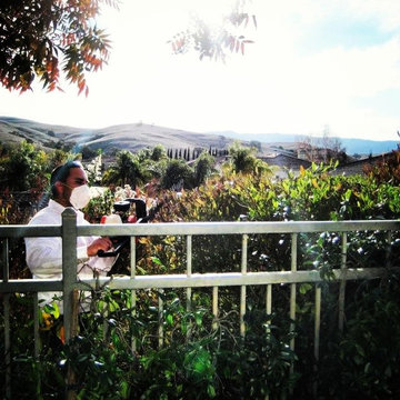 Down & Dirty Landscape Design Projects