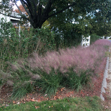 Beach Garden, Saugatuck Shores, Westport