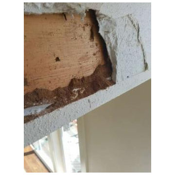Pete's Oregon Coast Pest Control