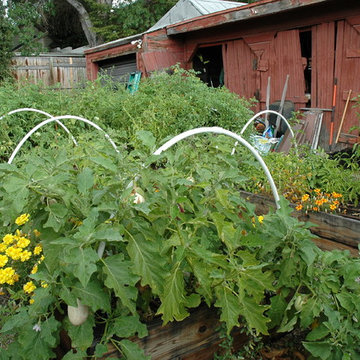 Italianate Style B Street Water Wise & Vegetable Garden