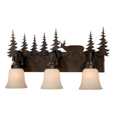 50 Most Popular Rustic Bathroom Vanity Lights For 2021 Houzz
