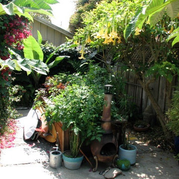 Surf bungalow jungle design