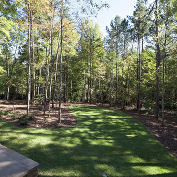 Wooded backyard