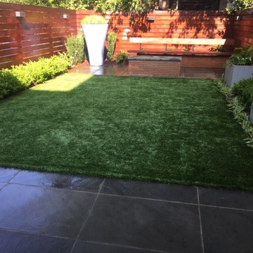 Stylish Urban Garden