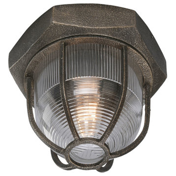 Troy Lighting C3890 Acme 1 Light Flush Mount Ceiling Fixture - Aged Silver