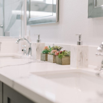 Kitchen & Master Bathroom Remodel