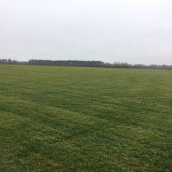 Tall Fescue Harvest - Products