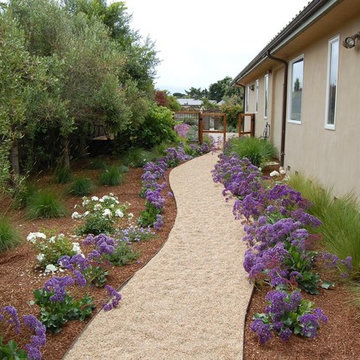 Stinson Beach Coastal Mediterranean Backyard Remodel