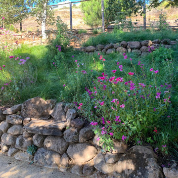 Hillside Flower Meadow + Food Forest