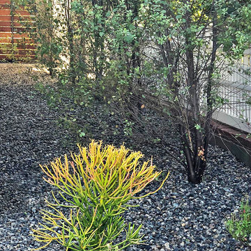 Gravel--Side Yard