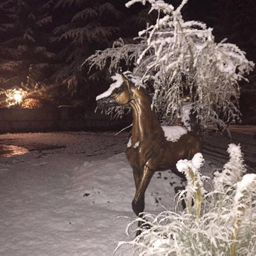 Dream of Spring Bronze Equine Sculpture