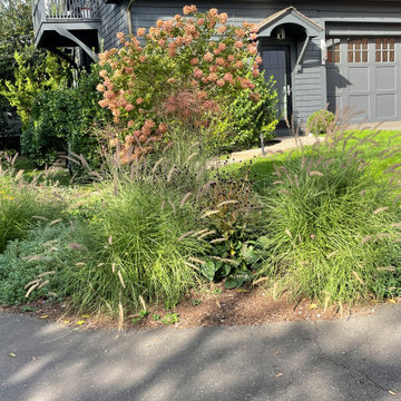Belle Haven - New Plantings and Site Improvements