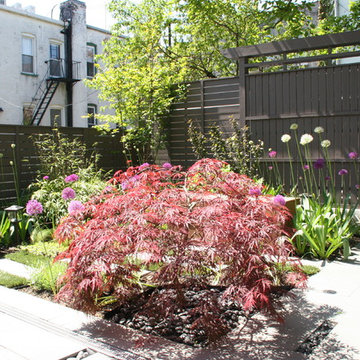 Windsor Terrace Garden