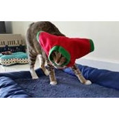 Annie Hildebrand's photo