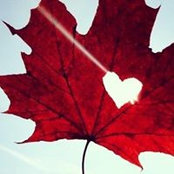Tawnya Tremblay's photo